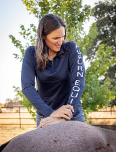 Chiropractic Adjustments - Auburn Equine