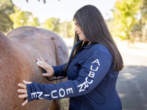 Exams - Auburn Equine