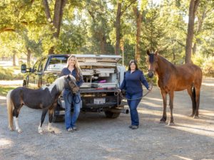 Ranch Call Wednesdays Auburn Equine